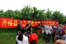 陈波在田间地头讲授晚熟柑橘种植技术.jpg